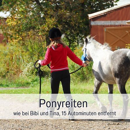 Natur-Chalet Zum Nationalpark Franz Inkl. E-Auto Allenbach Extérieur photo