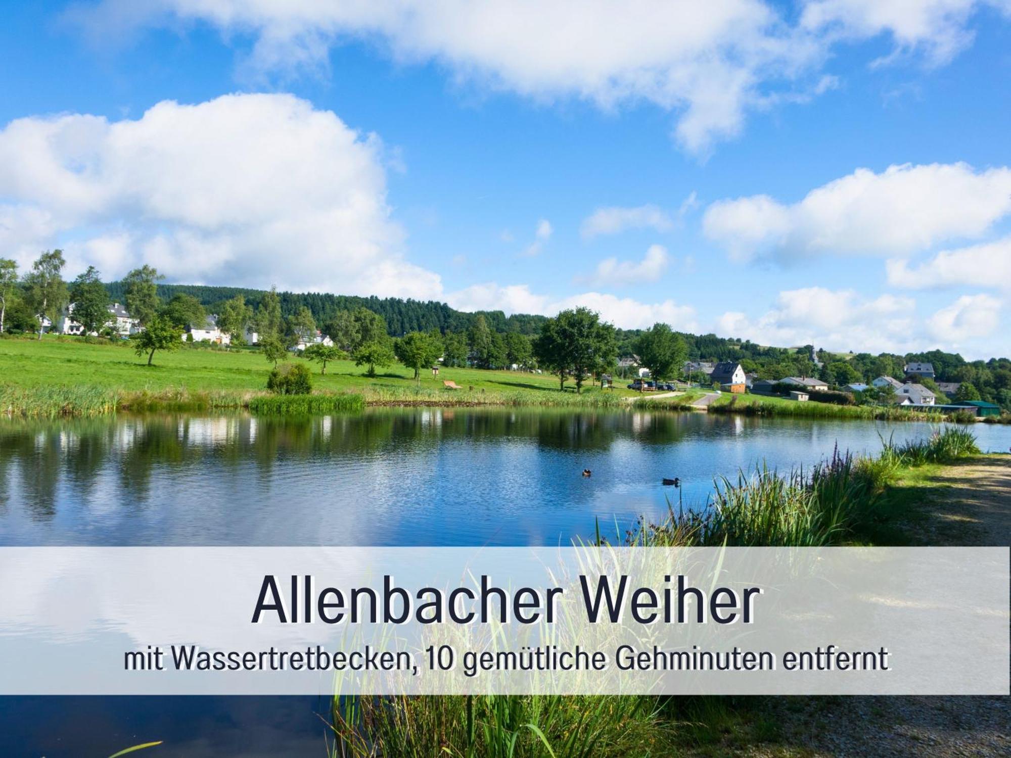 Natur-Chalet Zum Nationalpark Franz Inkl. E-Auto Allenbach Extérieur photo