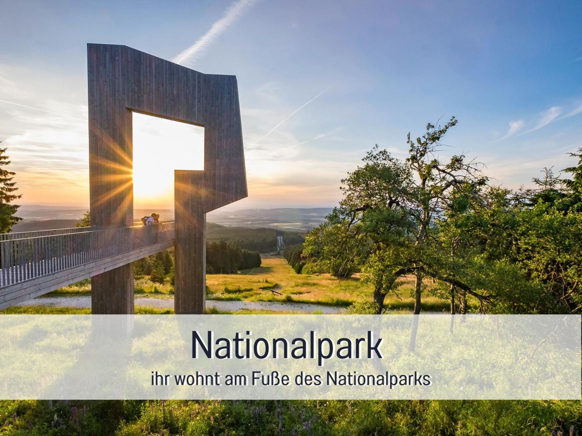 Natur-Chalet Zum Nationalpark Franz Inkl. E-Auto Allenbach Extérieur photo